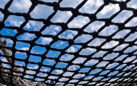 WEB BLOG 2026 960x600 (2)