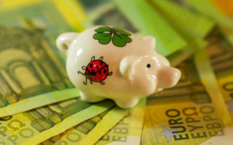 Miniature,Piggy,Bank,On,100-euro,Banknotes.,In,The,Business,World,